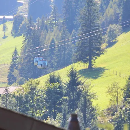 Apartament Zentral, Parking Und Wifi, Nahe Zu Den Skipisten